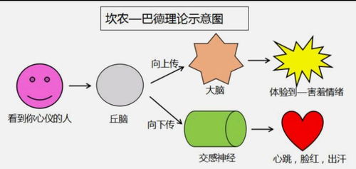 情緒解碼與平衡 心理健康咨詢中的情緒管理與健康實(shí)踐